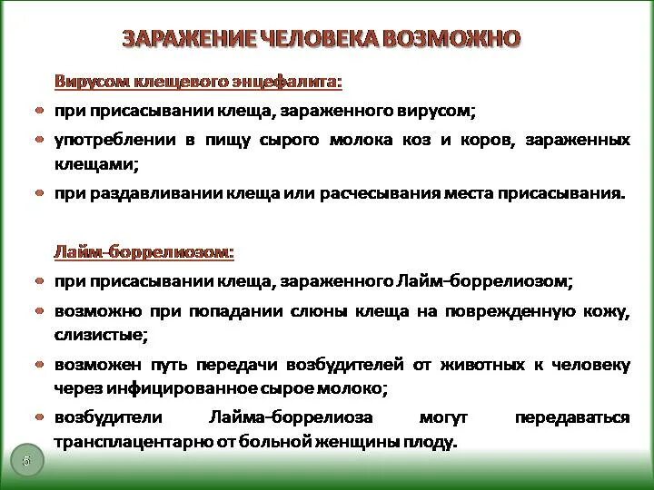 Заражение человека энцефалитом возможно при гигтест ответ. Как человек может заразиться клещевым энцефалитом. Заражение человека клещевым энцефалитом возможно при. Заражение человека клещевым энцефалитом возможно при ответ. Как можно заразиться клещевым энцефалитом.