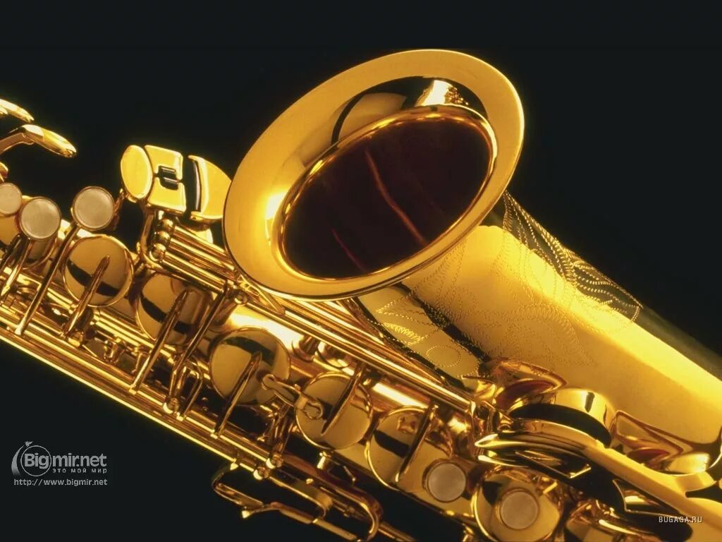 Саксофонист. Юный саксофонист. Саксофон композиция. Саксофонист фон. Саксофон фото картинки.