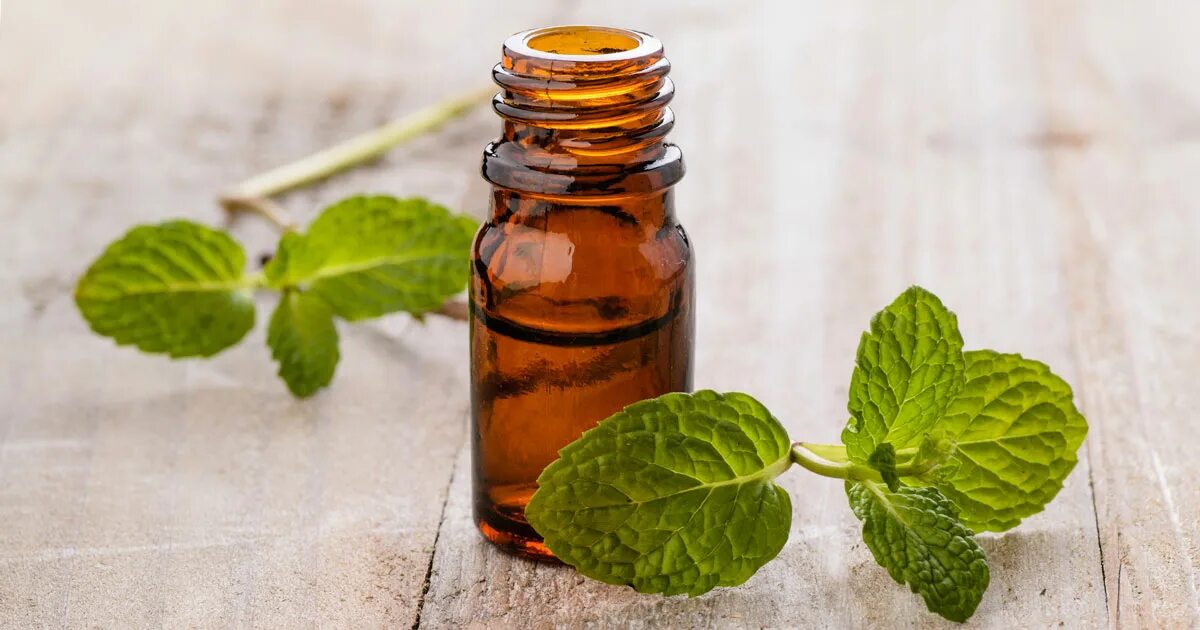 Menthol oil. Эфирное масло ментола. Мятное эфирное масло. Menthol oil. Мятное масло.