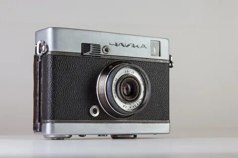 Чайка камера