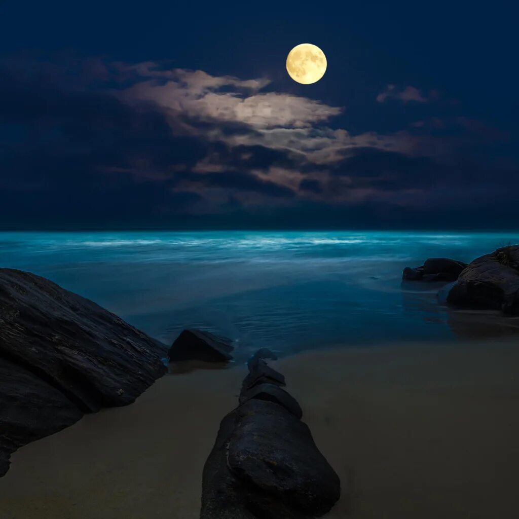 Побережье ночью. Ночное море. Океан ночью. Океан ночью. Night by the sea 78.