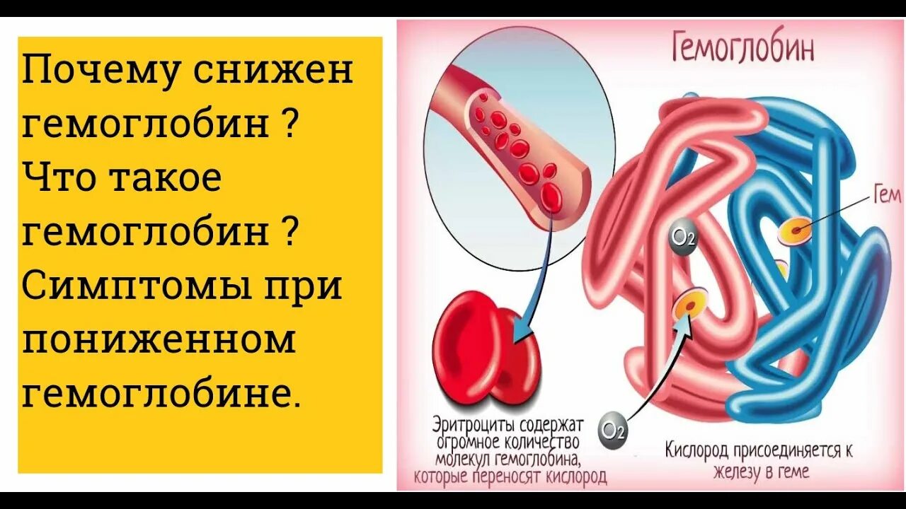 Гемоглобин. Недостаток гемоглобина в крови. Гемоглобин симптомы. Причины снижения гемоглобина.