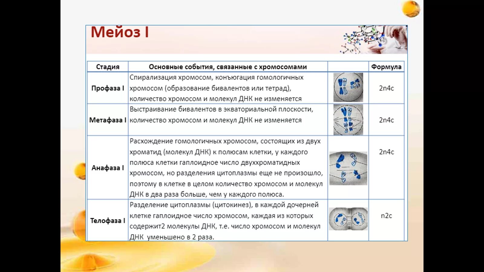 Подготовка к егэ задание 27. Задачи ЕГЭ биология. Задачи по биологии ЕГЭ. 27 Задача ЕГЭ биология. Оформление задачи 27 по биологии в ЕГЭ.