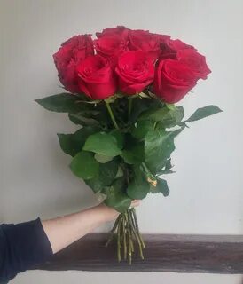 Цветы картинки домашнее фото