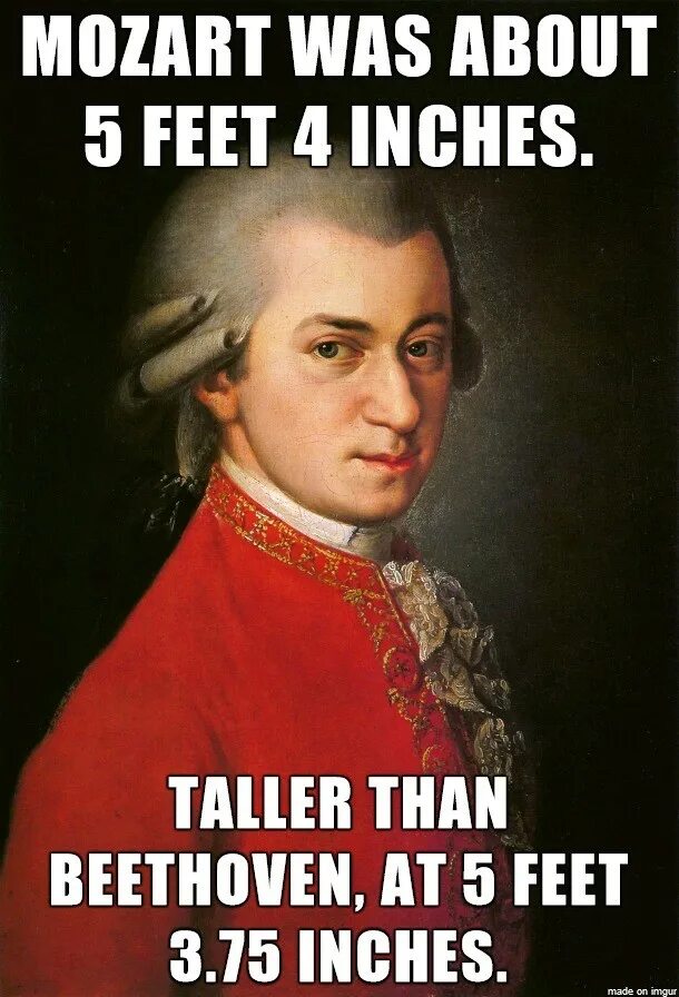 3 факта о моцарте. Интересные факты о Моцарте. Интересный факт о Вольфганге Моцарте. 10 Интересных фактов о Моцарте.