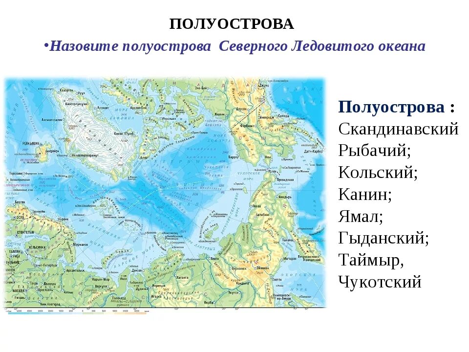 Примеры полуостровов в россии. Проливы Северного Ледовитого океана на карте. Моря Северного Ледовитого океана на карте. Проливы Северо Ледовитого океана на карте. Полуострова Северо Ледовитого океана на карте.