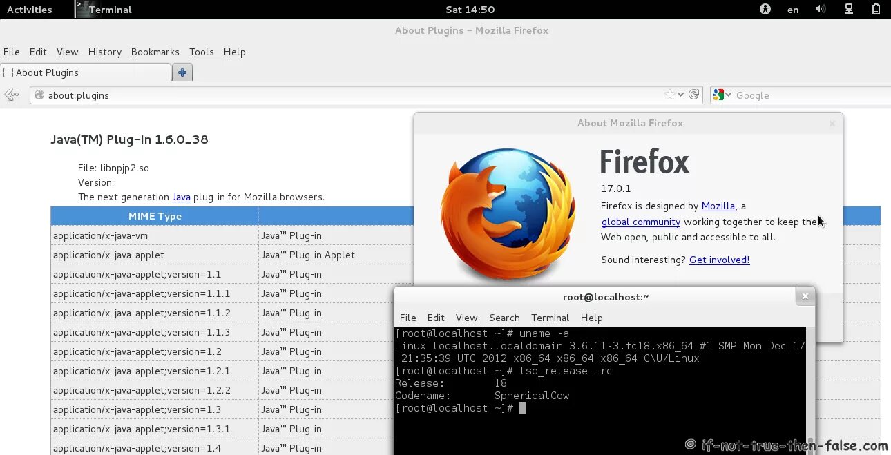 Browser plug in firefox