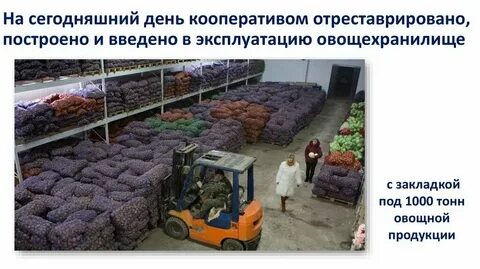 Собранную свеклу заложили в 3 овощехранилище