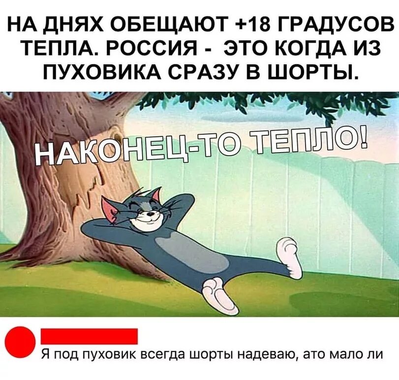 Летом жарко зимой холодно. Ощущение тепла и холода. Карточки погода. Завтра холодно. Прогноз погоды.