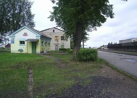 Авито новосокольники