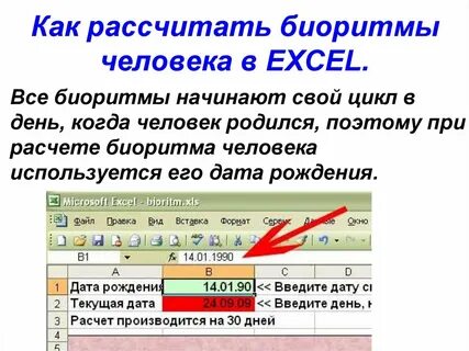 Как считают люди в разных