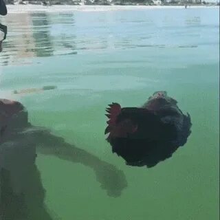 Замечательный мужик