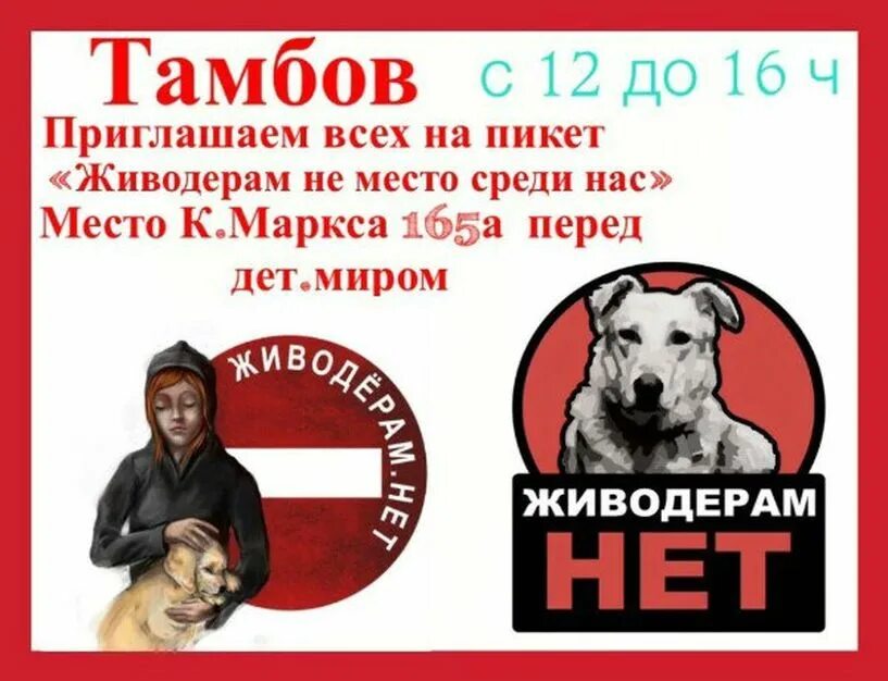 Против живодерства. Плакаты против живодеров. Живодерам не место в обществе. Живодерам нет. Против живодеров.