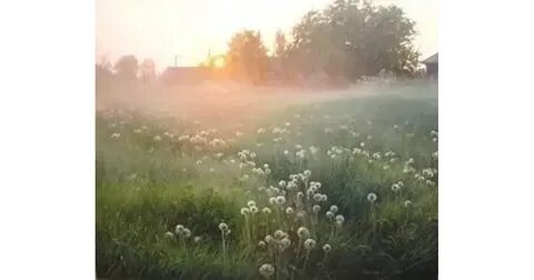 Песня утро сергея