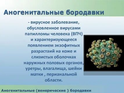 Тяжесть течения аногенитальной герпетической инфекции определяется