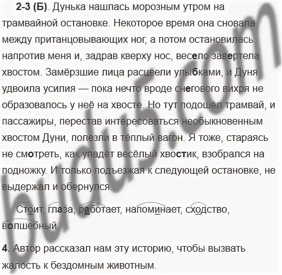 Русский язык 5 класс упражнение 156. Русский язык 5 класс учебник упражнение 74. Упражнение 74 по русскому языку 5. Русский язык 3 класс упражнение 74. Русский язык 5 класс учебник упражнение 74.