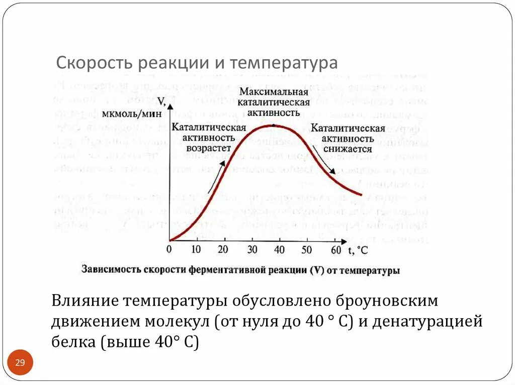 График зависимости ферментативной реакции от температуры. График зависимости скорости ферментативной реакции от температуры. График скорости ферментативной реакции от температуры. Графики зависимости скорости ферментативной реакции от температуры. Активность ферментов снижается при