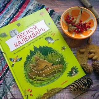 Лесной календарь читать