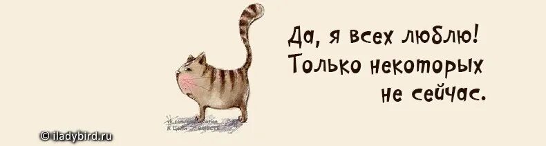 Я всех люблю только некоторых не сейчас. Я всех люблю. Всех люблю но некоторых не сейчас. Я вас всех люблю. Сейчас обожаю