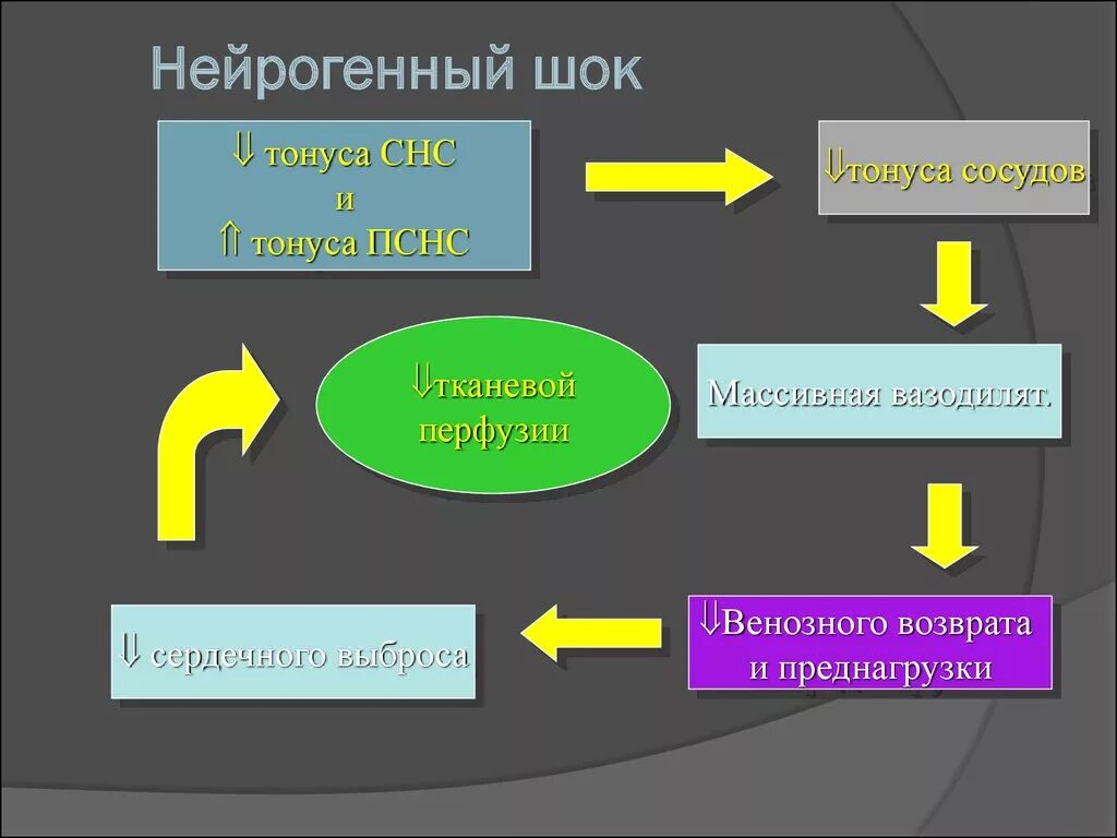 Схема развития нейрогенного шока. Патогенез нейрогенного шока схема. Нейрогенный ШОК патогенез. Патофизиология нейрогенного шока.