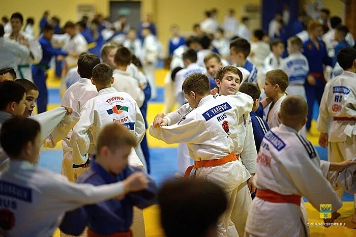 сборы дзюдо 2024