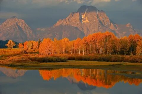 Jackson hole