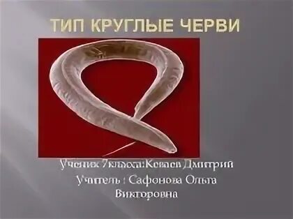Круглые черви биология 7
