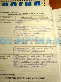 Тетрадь по биологии 8 класс сонин