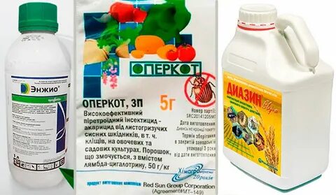 Оперкот