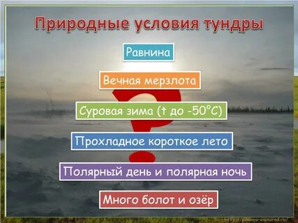 Условия образования природных зон