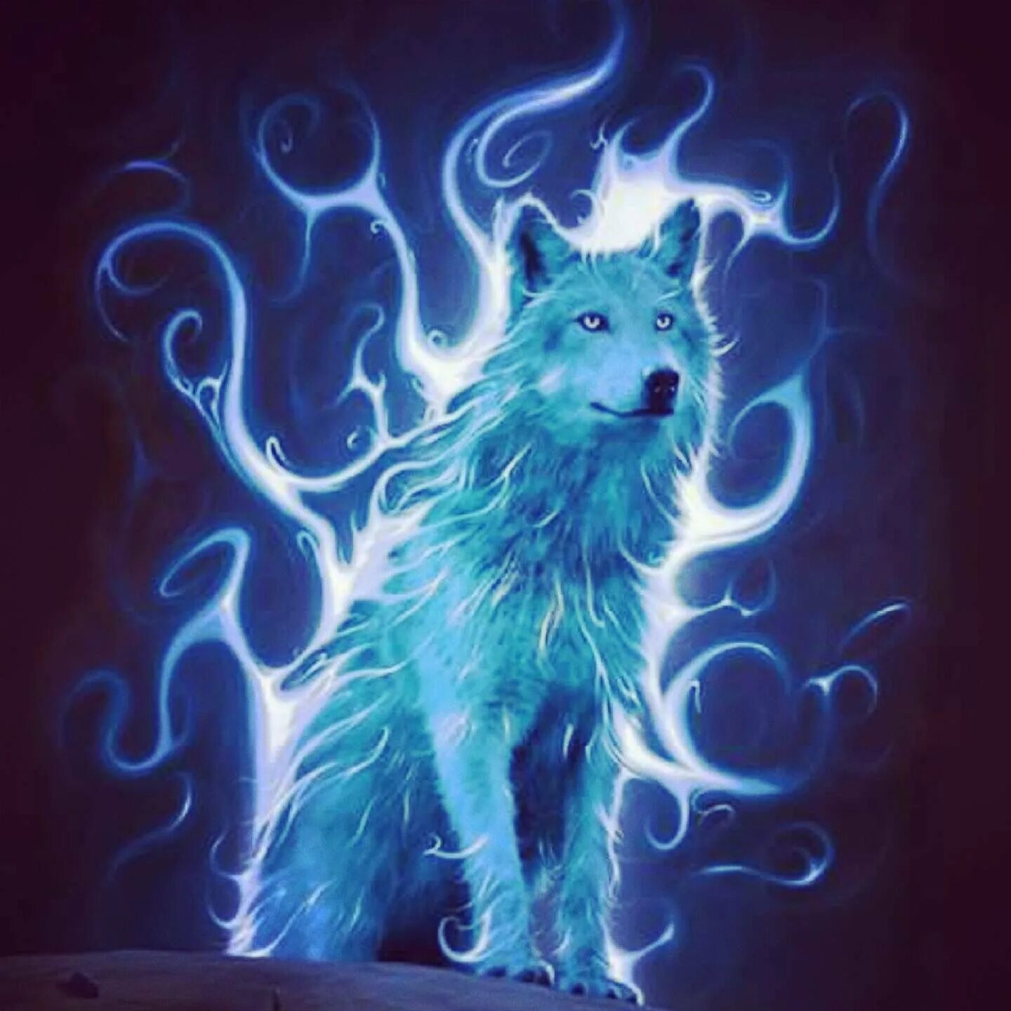 Волк в огне. Волк в огне. Волки огненные ледяные. Darkwolf fire and ice. Волки огненные ледяные.