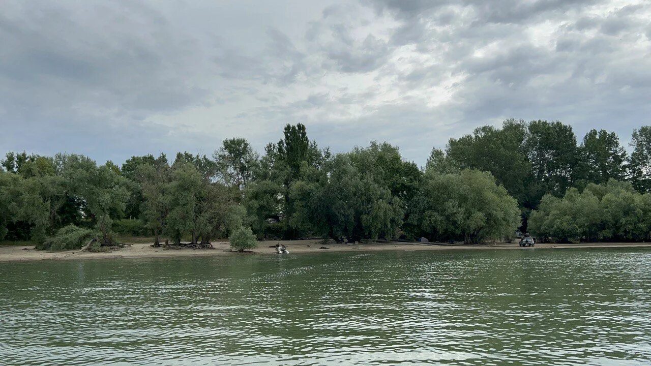 Температура воды в реке кубань. Река Кубань Усть Лабинск. Обитатели реки Кубань. Корабль на реке Кубань. Краснодар река.