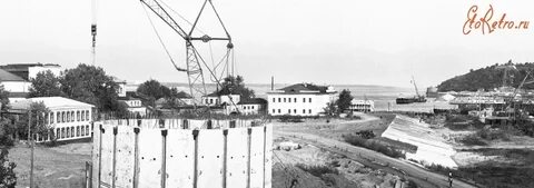 Июнь 1981 года