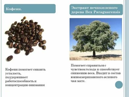 Экстракт кофеина