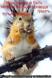 Ладно так уж и быть