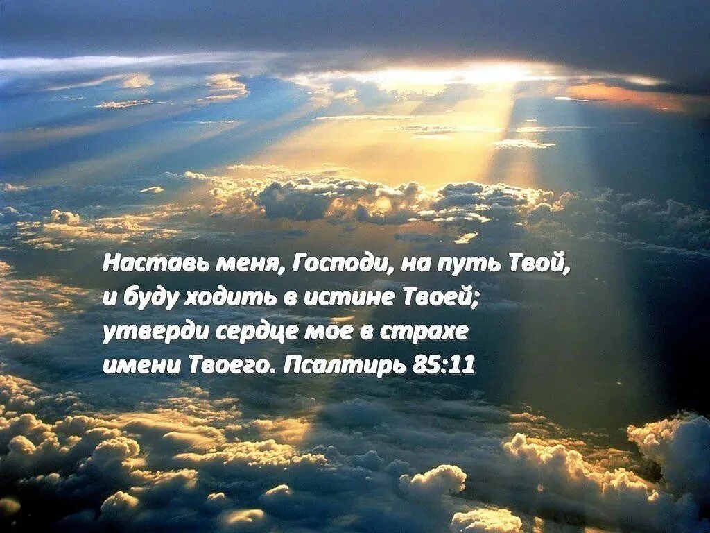 По земле не хожу на небо
