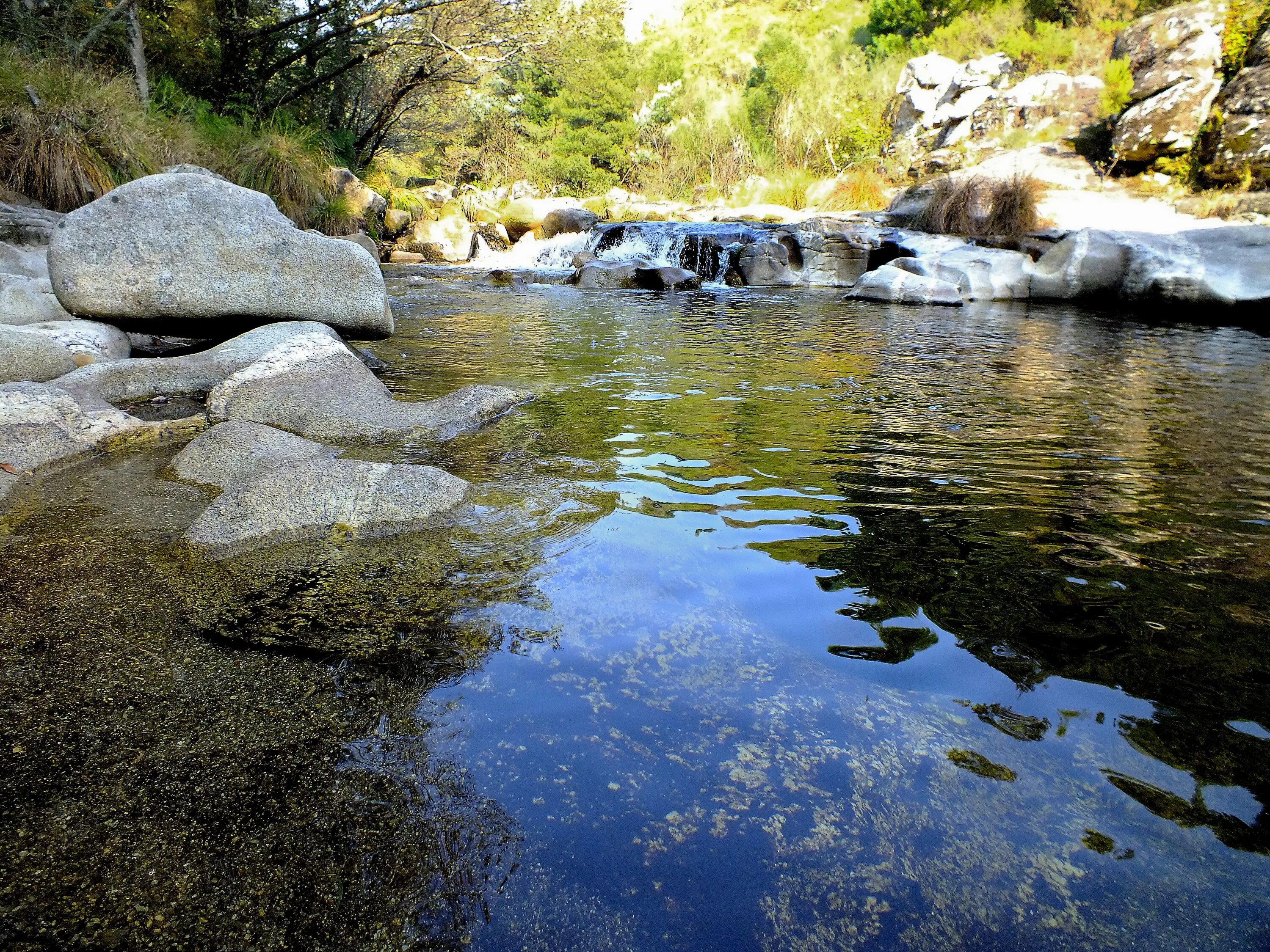 Ручей прозрачная вода. Вода река. Прозрачная река. Камни в прозрачной воде.