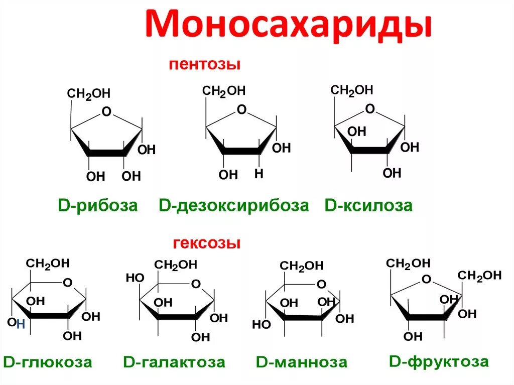 Глюкоза формула название. Моносахариды пентозы классификация. Структурные формулы моносахаридов. Строение моносахаридов структурная формула. Фруктоза моносахарид формула.