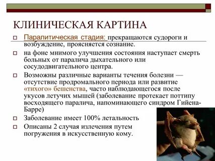 И человеком животное характеризуется