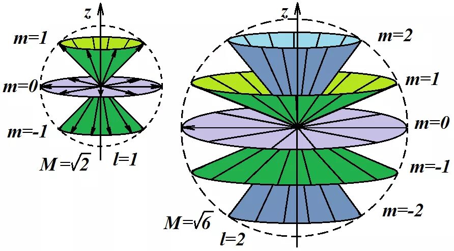 Пространственное квантование магнитные моменты атомов. Пространственное квантование. Пространственное квантование. Пространственное квантование. Пространственное квантование.