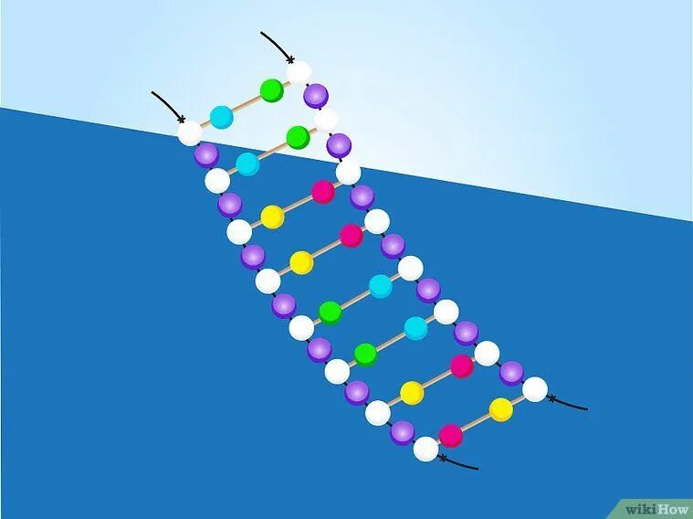 Dna using