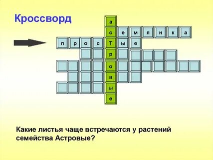 Кроссворд на тему систематика