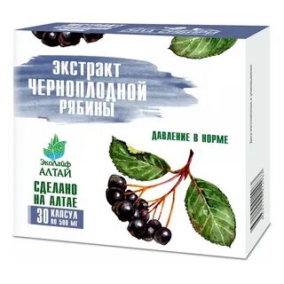 Рябина повышает давление