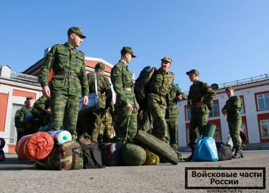 Военные сборы запасников до какого возраста забирают. Сборы в армию. Учебные сборы у призывников. Военные сборы Военная Кафедра. Военные сборы запасников.