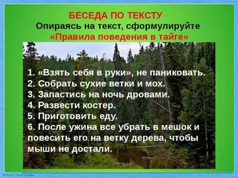 Васюткино озеро какие качества помогли васютке выжить. Правила поведения в тайге. Правила как выжить в тайге. Правила тайги. Памятка выживания в тайге.