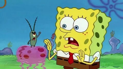Spongebob x