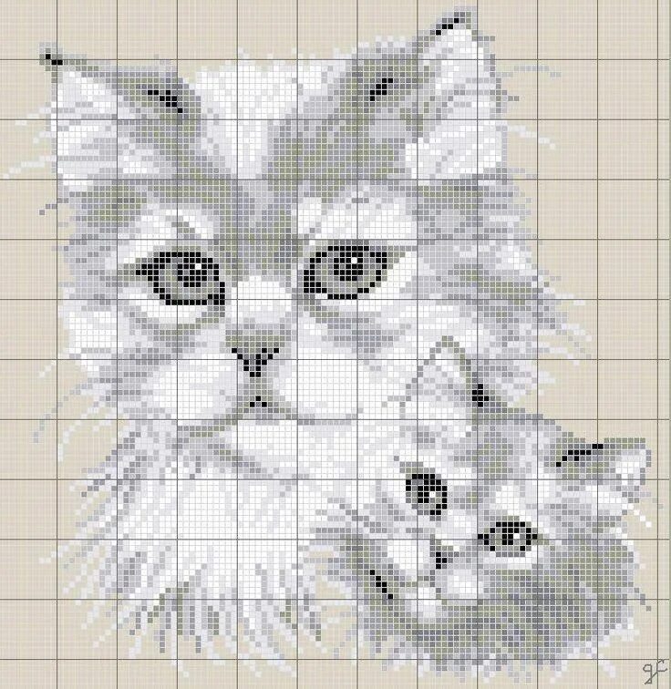 Вышивка крестиком котик. Вышивка крестиком кот. Схемы вышивки котят. Схемы для вышивания крестиком кошки. Вышивка крестом кот.