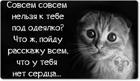 Мне одному совсем не к чему