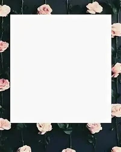 Рамки как в инстаграмме. Рамки как в инстаграмме. Рамочки для инстаграмма. Рамки для постов в инстаграм. Рамка инстаграм.