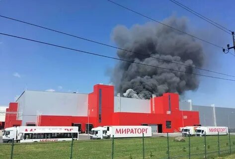Мираторг калининград